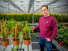 Jesse verkoopt kamerplanten voor 1000 euro: 'Verwacht dat ze alle twintig in één dag zijn verkocht’