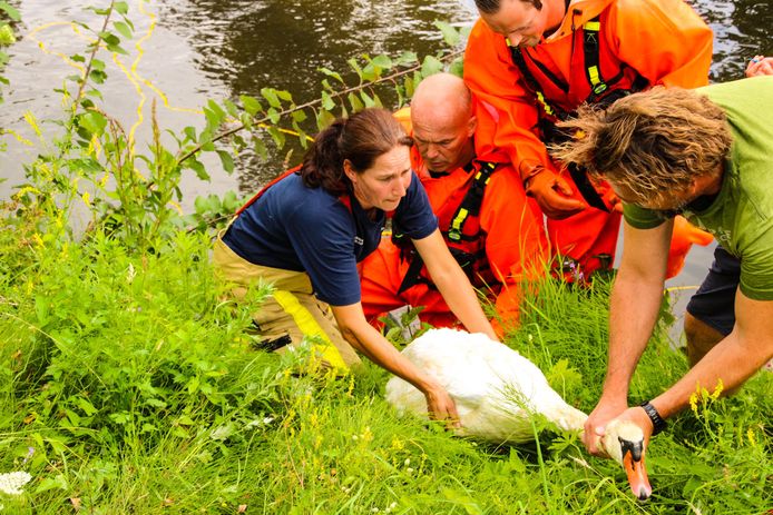 Uiteindelijk won de brandweer.