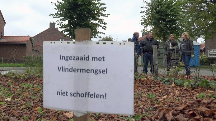 Het B-team ondersteunt Groen voor Grijs in de Oisterwijkse wijk Waterhoef.