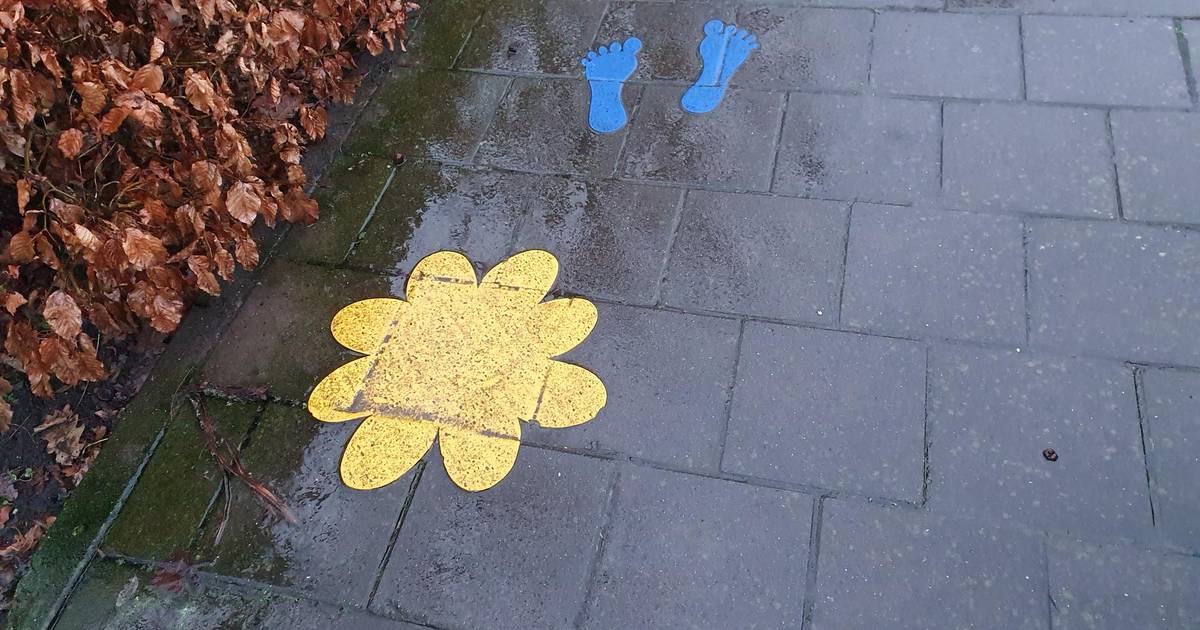Gele bloemen en blauwe voetjes markeren wandel- en speelroutes Riethoven - Eindhovens Dagblad
