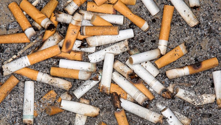 Van roken word je dom | De Volkskrant