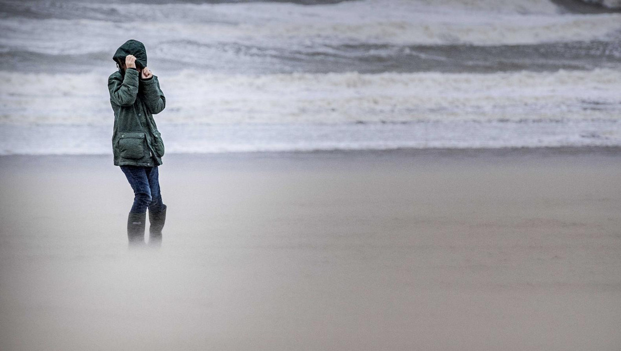Een wandelaar op het strand van Hoek van Holland. Beeld anp