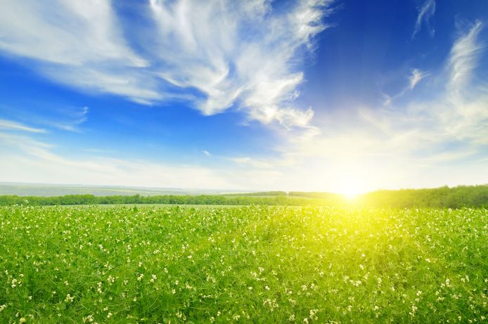 Foto van Thinkstock. 
field, sun rise and blue sky