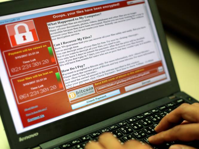 Twee derde van de Belgische bedrijven slachtoffer van cybercriminaliteit