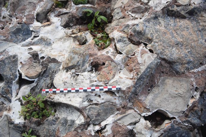 Een opgravingssite bij de grotten van Sterkfontein, ook gekend als de "wieg van de mensheid".