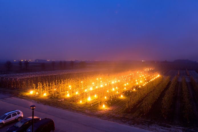 Ook vannacht houden fruitboeren zich klaar om vuurpotten te zetten tegen de nachtvorst en zo de bloesems te beschermen