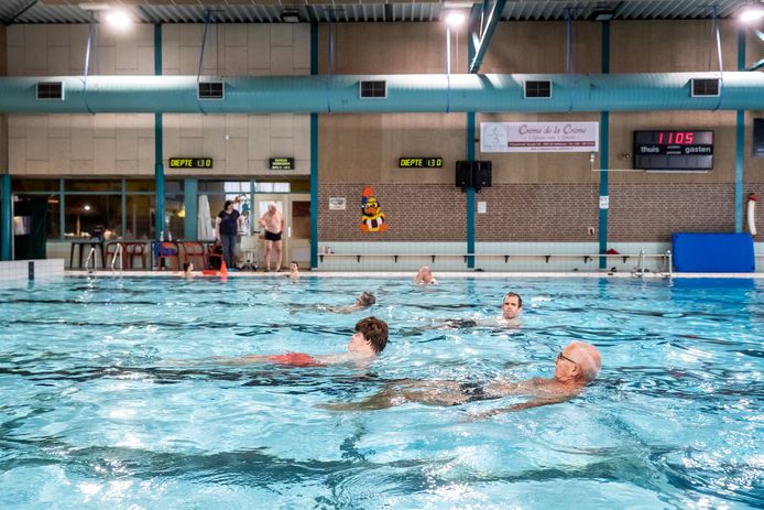 Zwemclub 't Zeepaardje in Veldhoven viert hun vijftigjarig bestaan.
