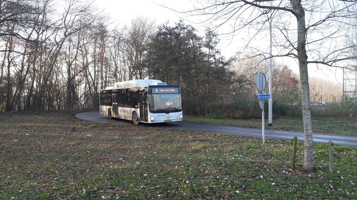 Kleinere bussen op negen buslijnen vanaf zaterdag, rolstoelgebruikers moeten speciale bestellen | Zeeuws nieuws pzc.nl