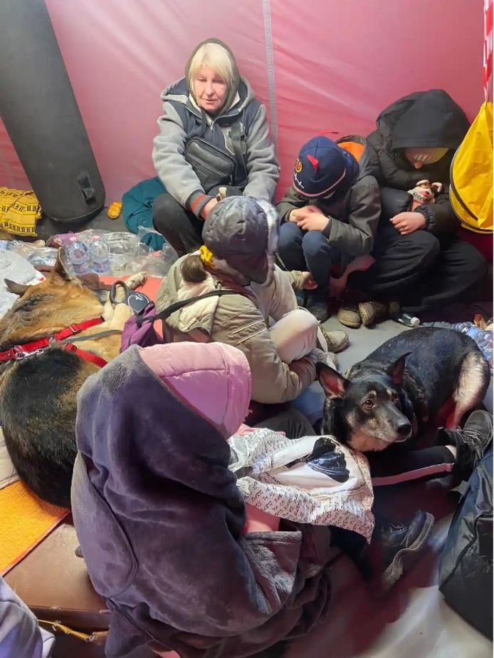La famille d'Alisa et leurs deux chiens dans une tente en Pologne, près de la frontière ukrainienne.