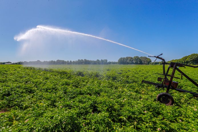 Vanaf donderdag geldt er een verbod op sproeien met oppervlaktewater.