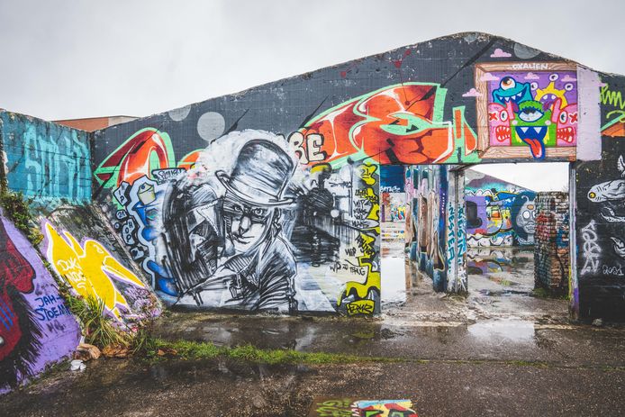 graffiti op de grindbakken aan Dok Noord in gent