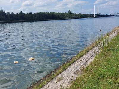 KIJK. Talloze stukken afval in Albertkanaal drijven in Hasselt: “Donuts, vlees, broodjes, verpakkingen en afvalzakken”