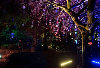 Feest vol licht in Megchelen