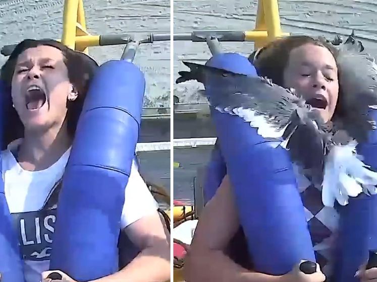 Meisje krijgt meeuw vol in het gezicht tijdens ritje in pretparkattractie