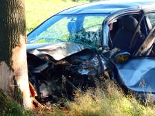 Man aangehouden nadat hij met zijn auto op een boom was geknald in Heesch
