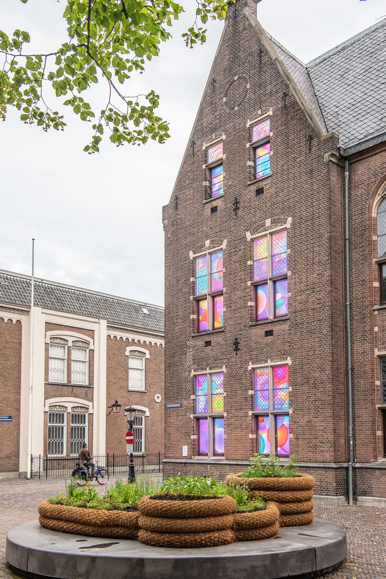 Maria Thereza Alves: Seeds of Change, A Ballast Flora Garden voor het Centraal Museum Utrecht Beeld 