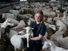 Nienke (25) opent deuren van haar boerderij in Dijkerhoek: ‘Wil een realistisch beeld geven’