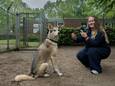 Maud Kuijs (22) maakt filmpjes en foto's van American Indian dog Aiko voor de sociale kanalen van dierentehuis Den Bosch.