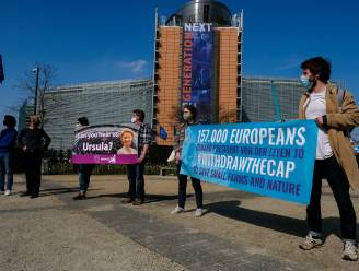 Klimaatactivisten protesteren op Schumanplein tegen Europese landbouwplannen