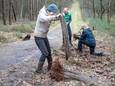 Vrijwilligers verwijderen zaailingen van jonge boompjes op landgoed Johanna Hoeve om deze vervolgens ergens anders te herplanten.