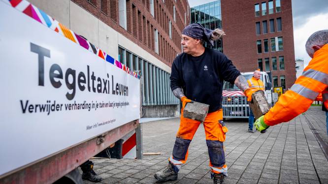Leuvense tegeltaxi heeft eerste rit achter de rug: “Fenomeen tegelwippen komt overwaaien uit Nederland”