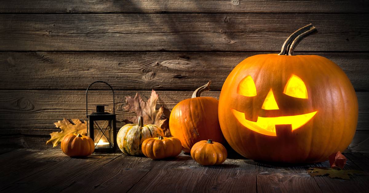 Halloween Wat Vieren We Halloween: dit is wat het betekent en hoe we het vieren | Brabant | bd.nl