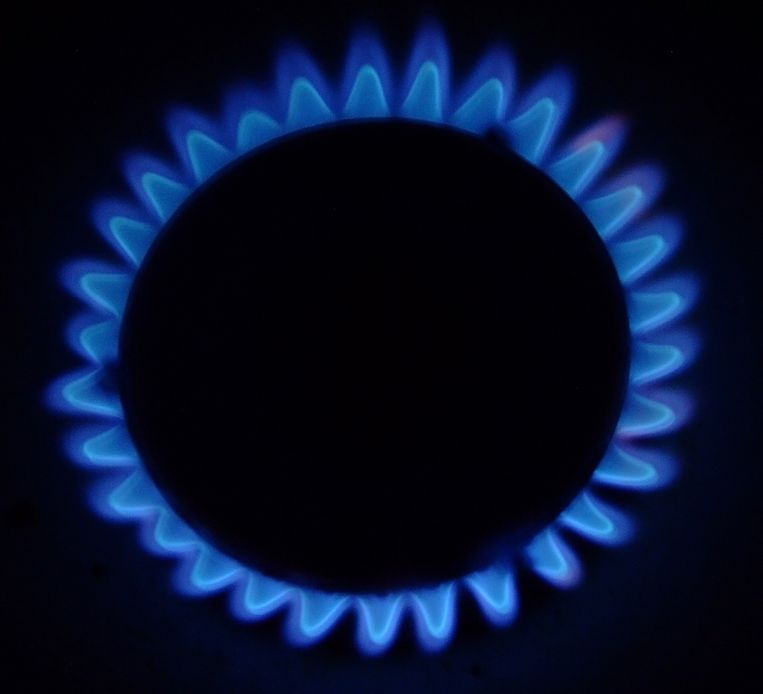 Een kookplaat op aardgas. Beeld Tom Sonck