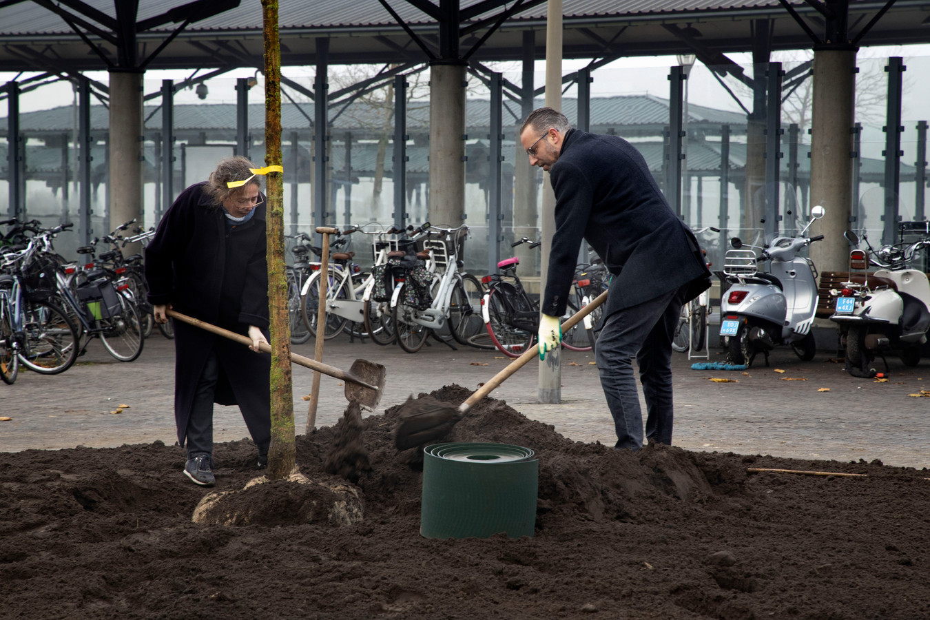 Wethouder Erik de Vries en Jet Meijer planten een boom aan de Broederwal in Helmond.