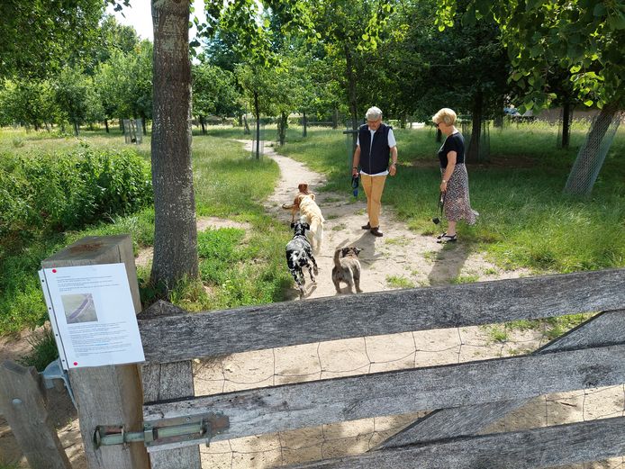 Ans Groot en Ad Vlaminckx betreuren het als ze hun honden Fenna, Senna en Jip niet meer los kunnen laten op het veldje dat de gemeente Oisterwijk voor flexwoningen op het oog heeft.