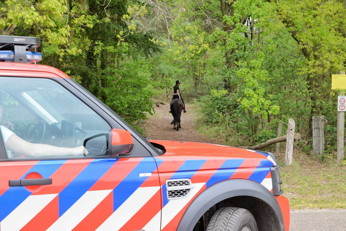 opgroeien Meenemen Anders Vrouw van paard gevallen in Loonse en Drunense duinen, traumahelikopter  geland | Foto | bd.nl