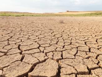 Wetenschappers trekken aan alarmbel: grote kans dat aarde 1,5 graden opwarmt tegen 2027