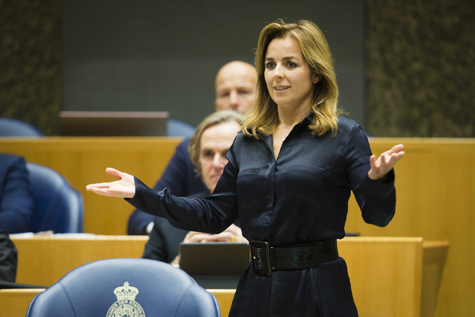 Qu'est ce que le Parti animaliste, qui a obtenu 2,4% des voix aux élections européennes? ?appId=21791a8992982cd8da851550a453bd7f&quality=0