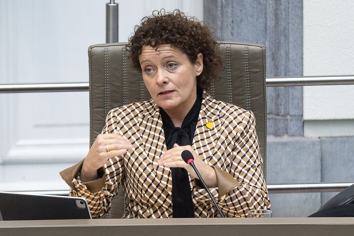Vlaams minister van Mobiliteit Lydia Peeters.