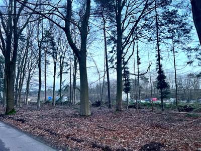 Geen geluidswal bij Oeienbosch? Maar wat dan?