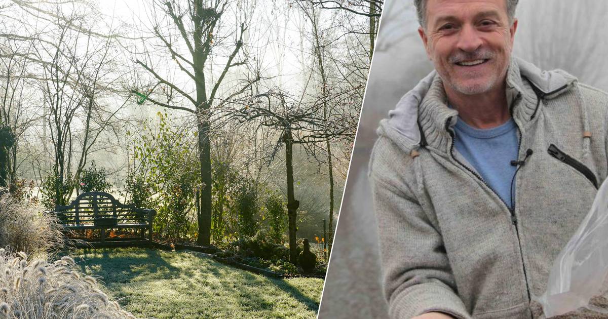 Your garden is a mess from warm February weather: You can do these jobs now |  News
