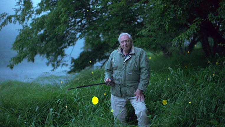 David Attenborough in Light on Earth (2016). Beeld BBC / Ammonite Films / Martin Dohm