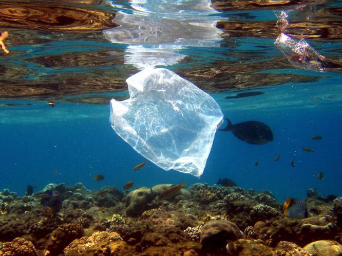 "Veel grotere hoeveelheden plastics op oceaanbodem dan aan oppervlak”