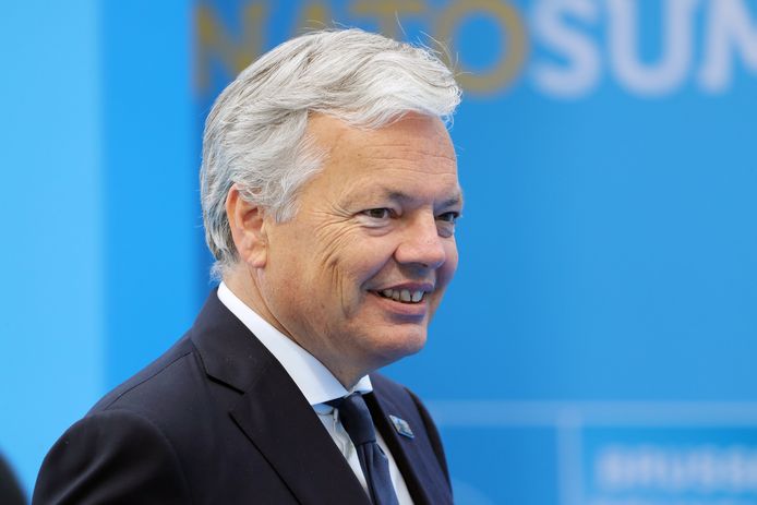 Minister van Buitenlandse Zaken Didier Reynders (MR).