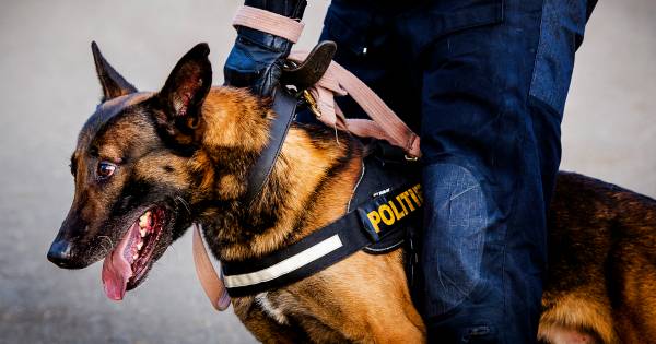 Vrouw (32) uit Deventer opgepakt na melding van inbraak in Klarenbeek en mogelijk vuurwapenbezit.