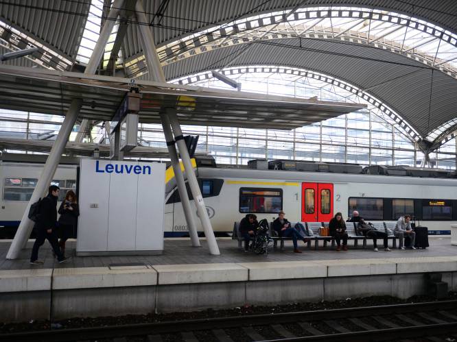 Treinbestuurder neergeslagen door agressieve reiziger in station Leuven