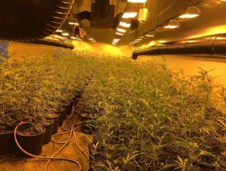 Drugsmilieu krijgt grote klap