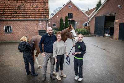 Erve ZoKlein in Denekamp: wonen en werken op de boerderij aan het kanaal