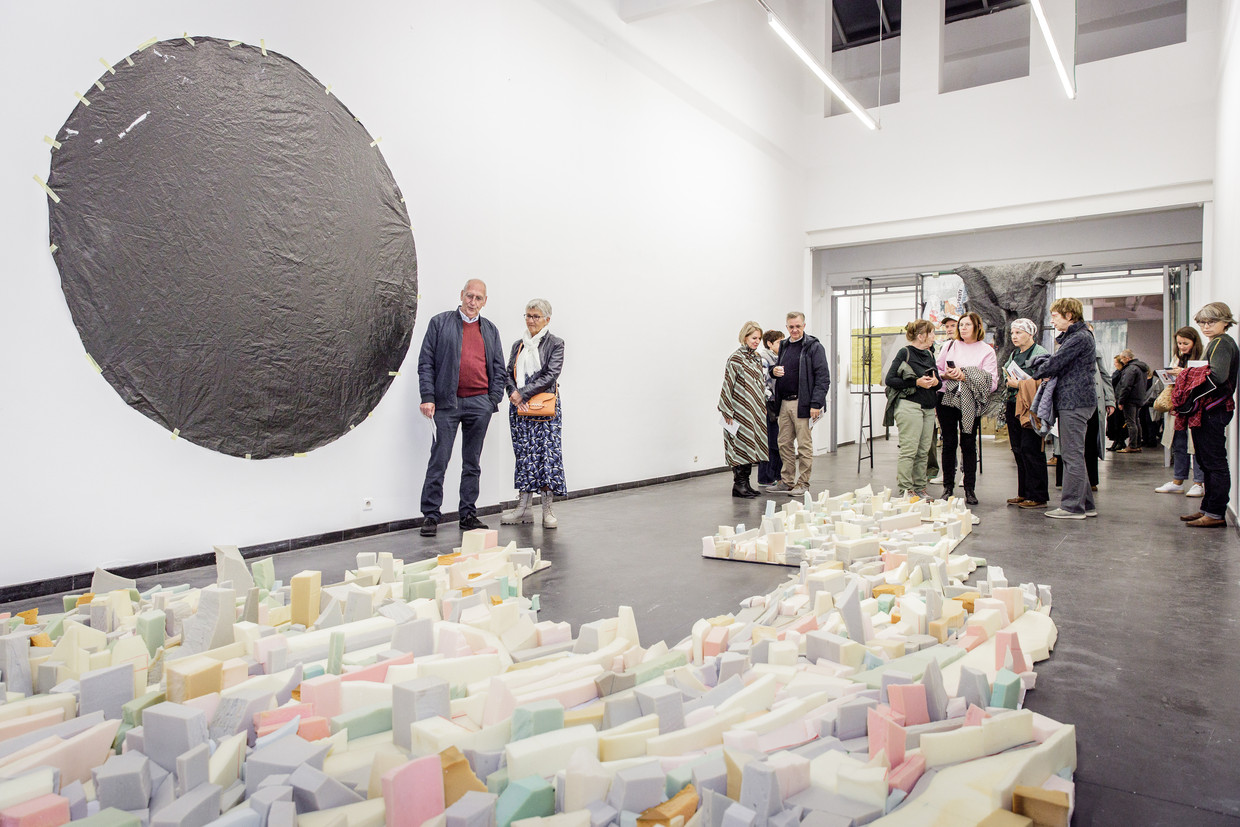 In de tentoonstellingszalen van De Garage in Mechelen is afgelopen week de eerste omvangrijke solotentoonstelling van de Leuvense schilder en multimediakunstenaar Hilde Overbergh geopend. Beeld Museum Hof van Busleyden - Sophie Nuytten