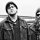Protomartyr (Botanique)