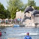 Dolfinarium hervormt, maar critici zijn niet tevreden