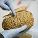 Miljardenproject menselijk brein gaat op de schop