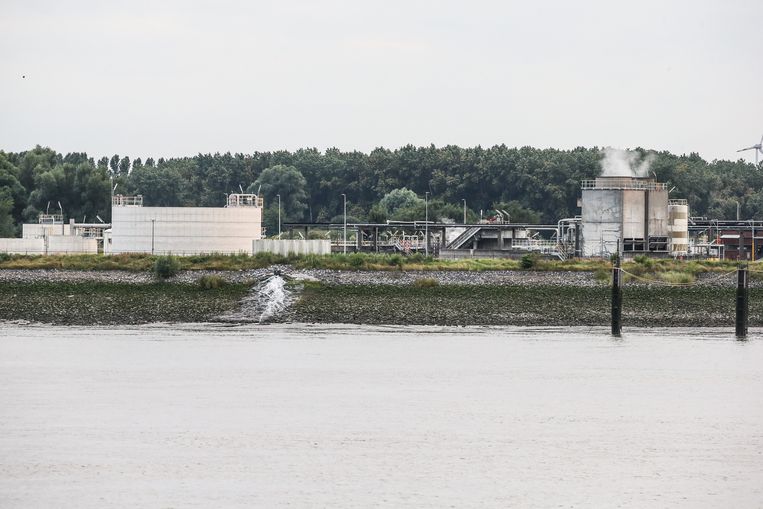 3M fabriek loost vervuild water in de Schelde. Beeld Photo News