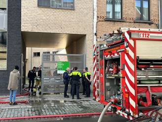 14-jarige lichtgewond bij keukenbrand in Antwerpen