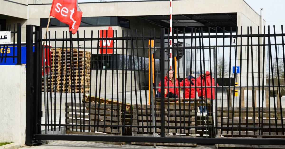 Trade union members shut down Delhaize bottling plant: ‘No problem for customers’ |  internal