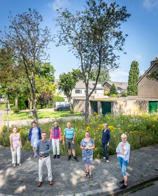 In Nuenen zijn vijf jaar geleden bijenveldjes geplaatst door IVN, zoals aan de Putterlaan. Op de foto staan acht beheerders: Regina Oors, Riekje Jouvenaz, Rob Tack, Tineke en Harm Brouwer, Marie-Jose Knegtel, Paula van Agt en Marianne Niemantsverdriet (vlnr).